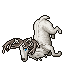 Desperate White Deer