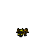 Coral Frog